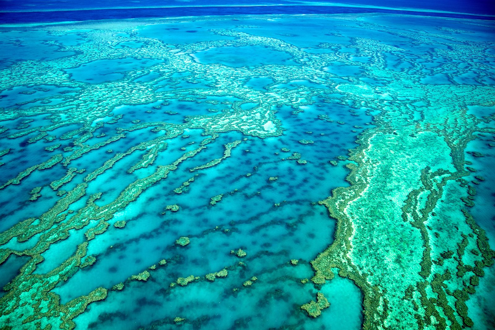 Aerial view of turquoise coral reefs